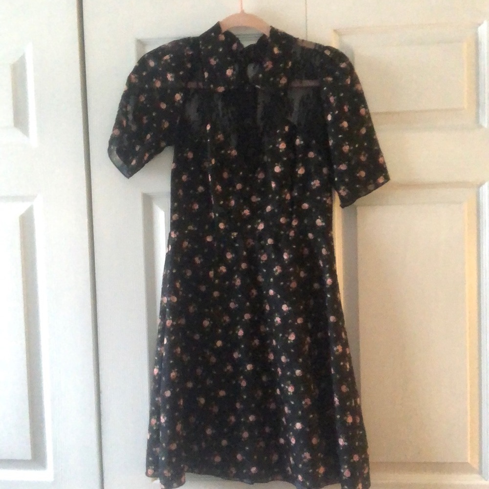 Anna Sui Rosebud Print Dress